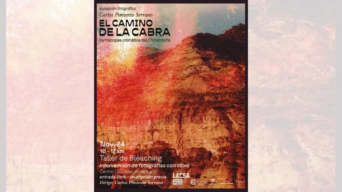 Taller de Bleaching Intervención de fotografías con cloro