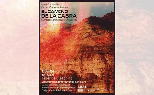 blog Taller de Bleaching Intervención de fotografías con cloro