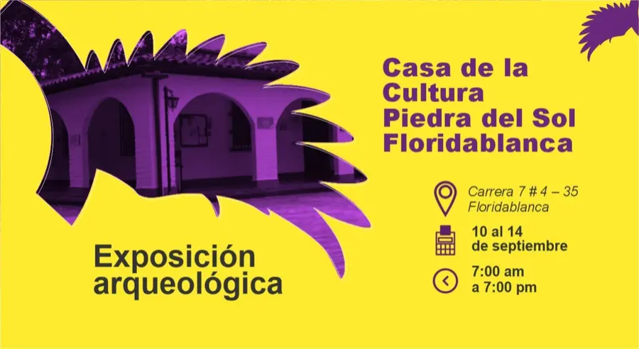 CIRCUITO 6
