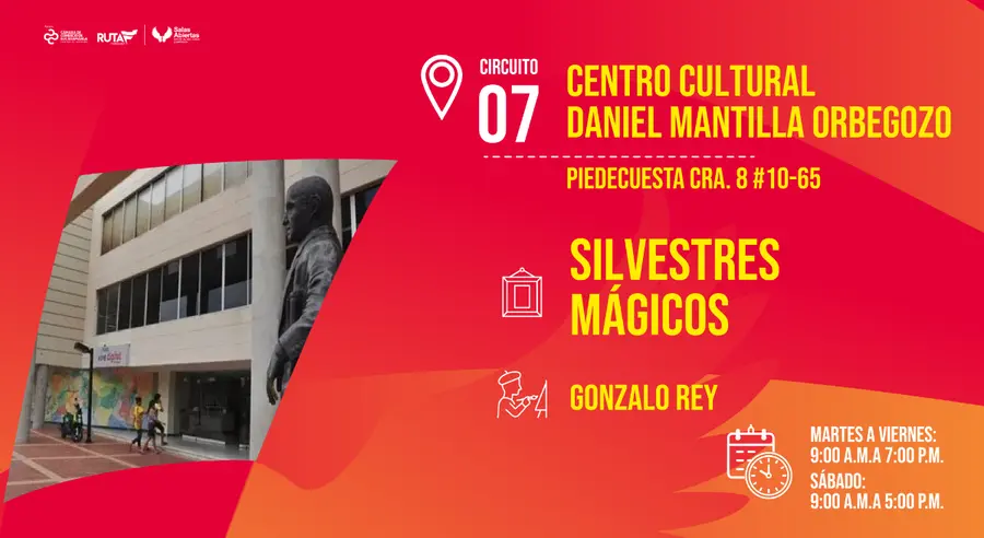 CIRCUITO 7