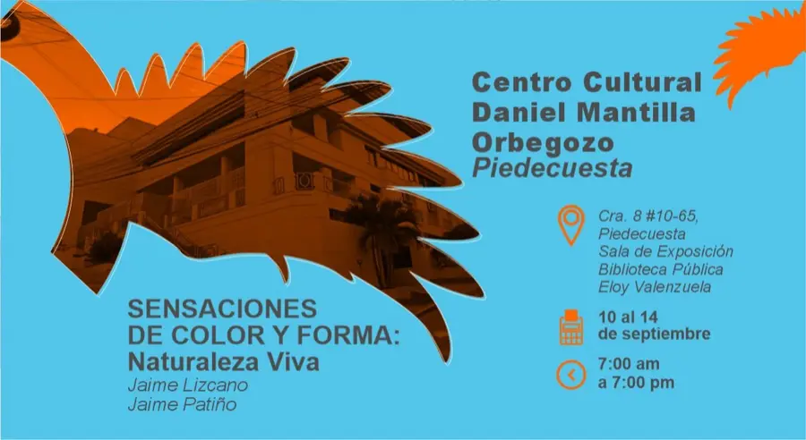 CIRCUITO 8