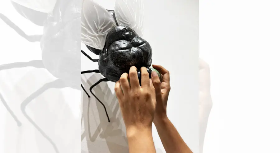 Fundación Invisibles Arte y Todos